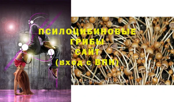 гидра Сафоново