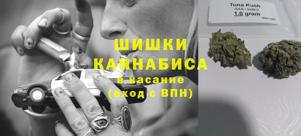 гидра Сафоново