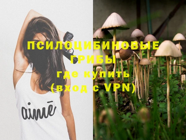 mix Саяногорск