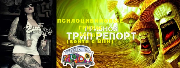 mix Саяногорск